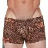 Male Power 153-030 Pouch Short Leopard