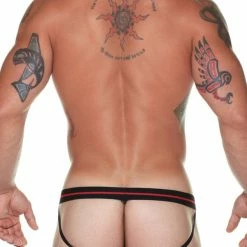 Male Power 349-157 Sheer Mesh Wings Jock