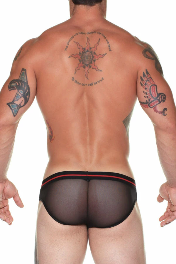Male Power 490-157 Sheer Mesh Wings Bikini 4 Male Power 490-157 Sheer Mesh Wings Bikini