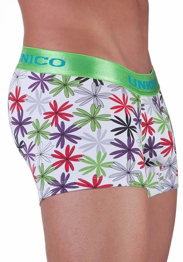 Unico 6374727 Alegria Trunk 5 Unico 6374727 Alegria Trunk