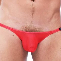 Gregg Homme 87403 Torrid Brief