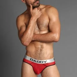 Daddy Underwear Best Sellers Daddy DDJ001 Bikini Brief