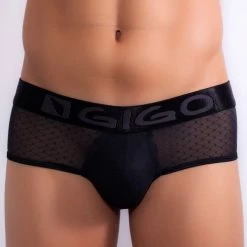 Gigo G01001 Gauzy Brief