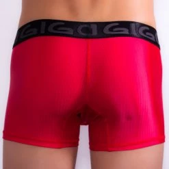 Underwear Gigo G04002 Lushness Boxer Long