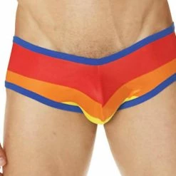 Mensuas MN0835 Pride Flag Brief