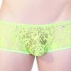 PetitQ PQ150007 Floral Lace Hipster Brief