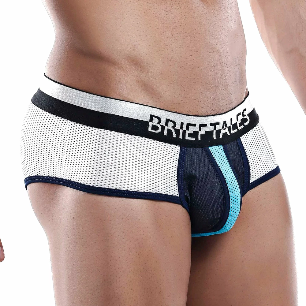 Brieftales BTJ001 Brief Mesh Underwear 10 Brieftales BTJ001 Brief Mesh Underwear