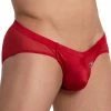 What's New Cover Male CMJ033 Mesh Rear Bikini Brief