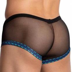 Daniel Alexander DAG007 See Through Bikini Brief What's New