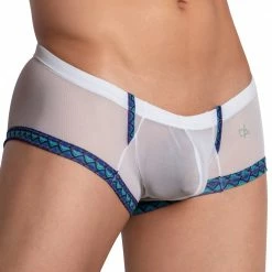 Daniel Alexander DAG007 See Through Bikini Brief What's New