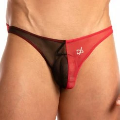 What's New Daniel Alexander DAI066 Bikini