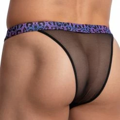 Daniel Alexander DAI078 Zimbabwe Bikini What's New