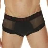 Good Devil GD622 Rotica Sheer Brief