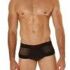 Good Devil GD722 Rotica Sheer Cheeky Brief 2 Good Devil GD722 Rotica Sheer Cheeky Brief