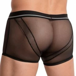 Hung HGG011 Podium Boxer What's New