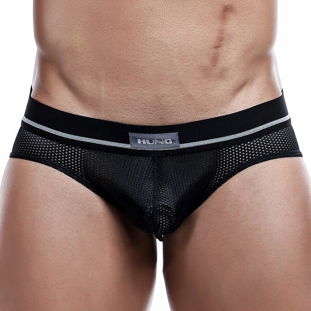 Hung HGI001 Micro Bikini Mesh Underwear 4 Hung HGI001 Micro Bikini Mesh Underwear