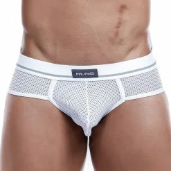 Hung HGJ001 Brief Mesh Underwear