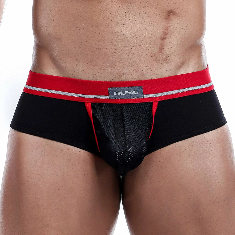 Best Sellers Hung HGJ002 Brief 4 Best Sellers Hung HGJ002 Brief