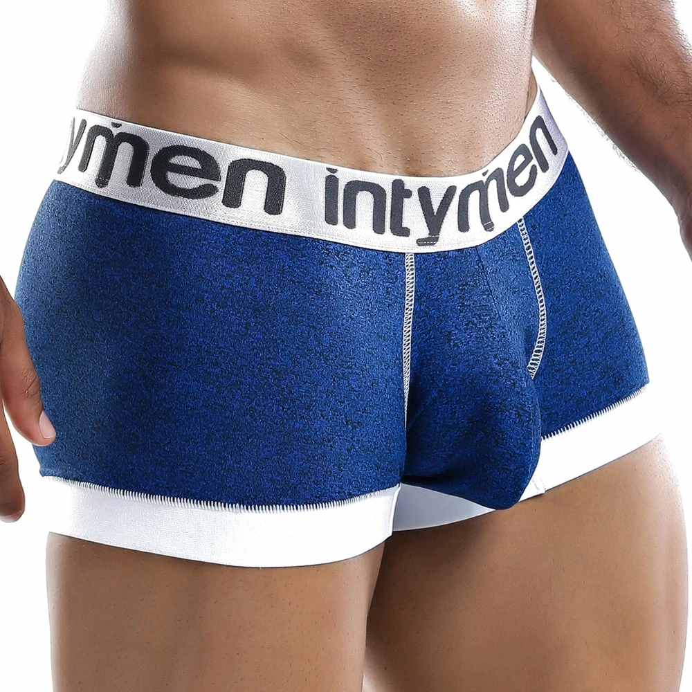 Intymen ING041 Wisdom Boxer Trunk 7 Intymen ING041 Wisdom Boxer Trunk