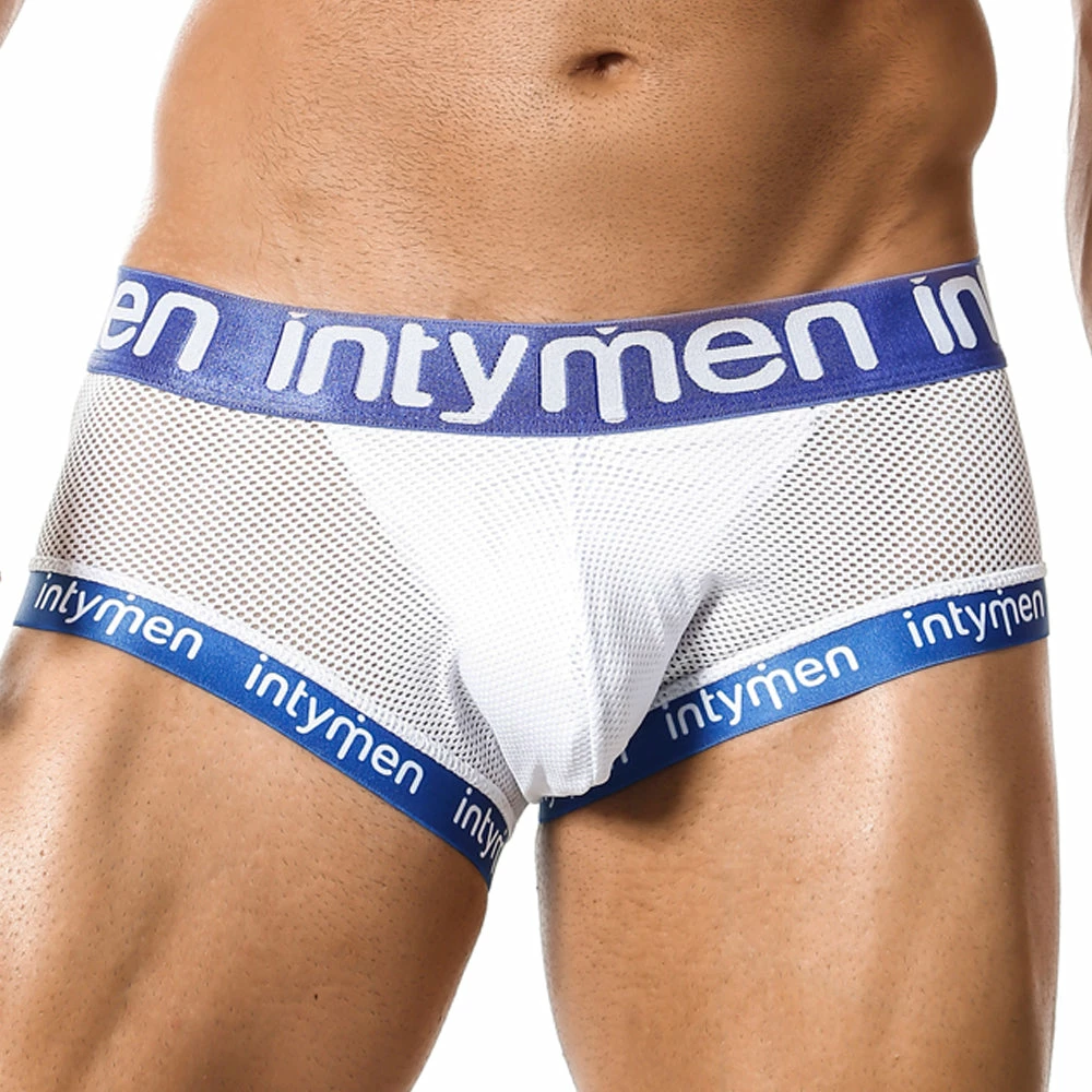 Intymen INJ046 Thigh Brief 9 Intymen INJ046 Thigh Brief