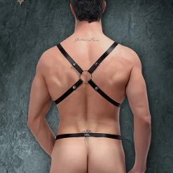 Male Power PAK891 Harness Rip Of Harness Set Best Sellers